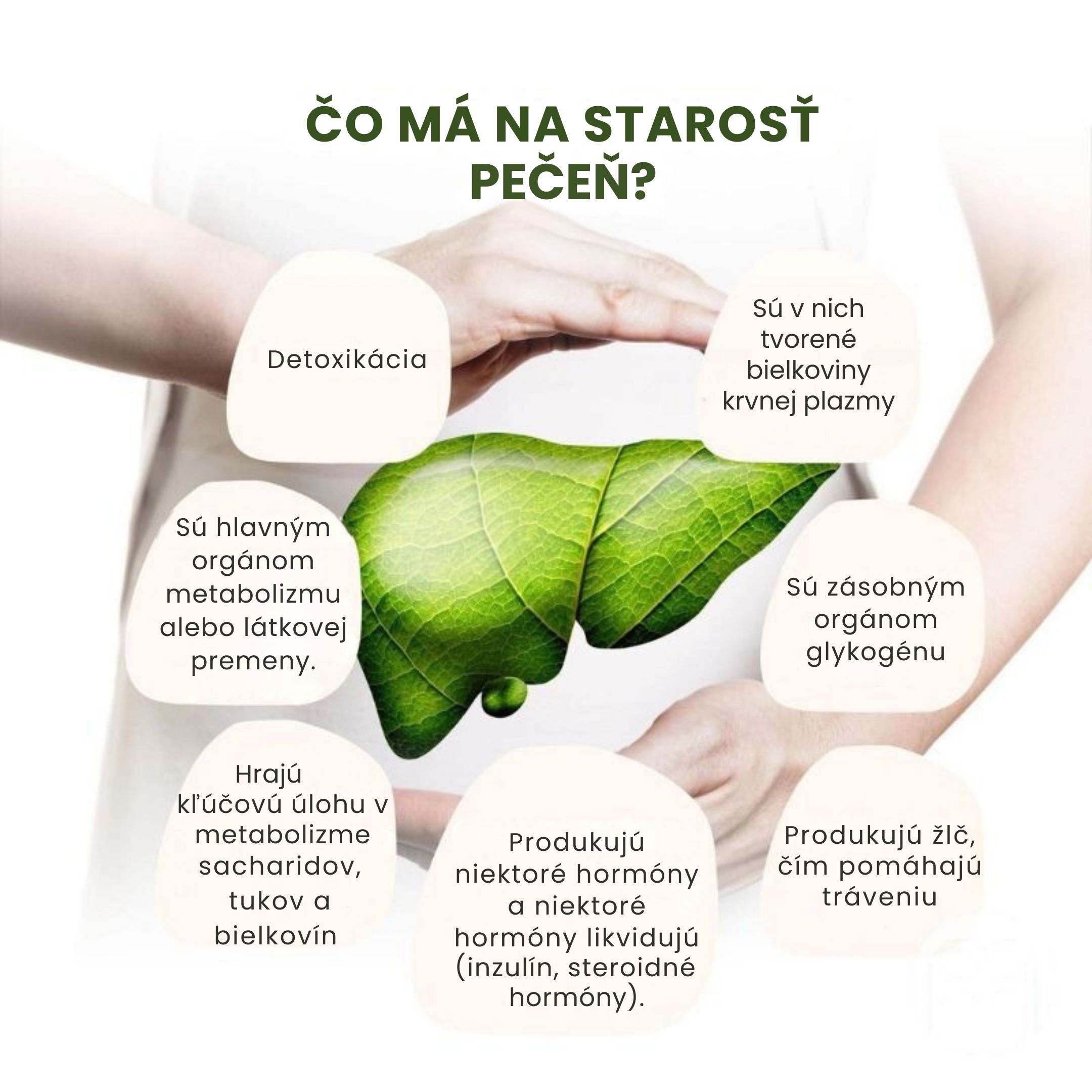 (Slovenčina) Co způsobuje špatné fungování jater (1)